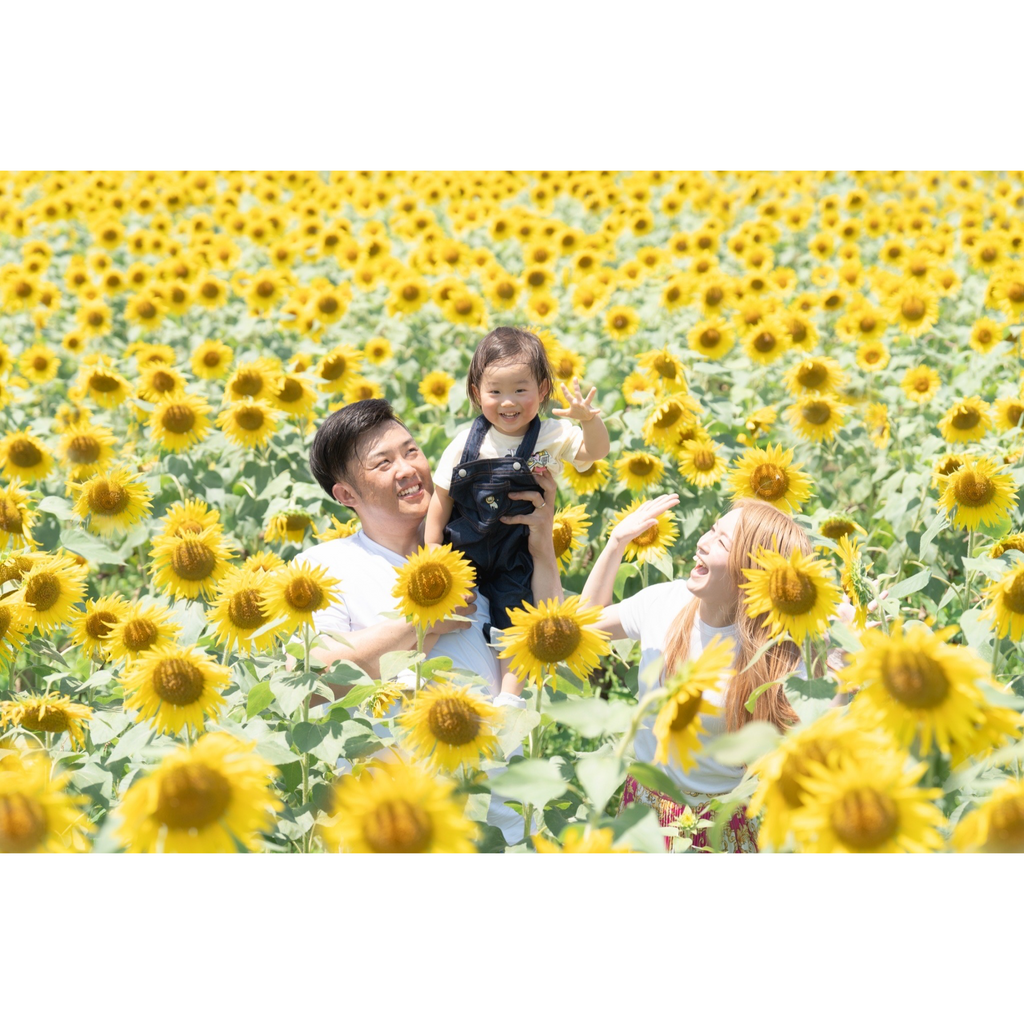 芦屋ファミリーフォト
