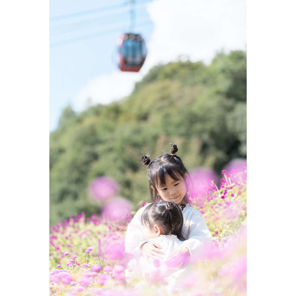 神戸ファミリーフォト