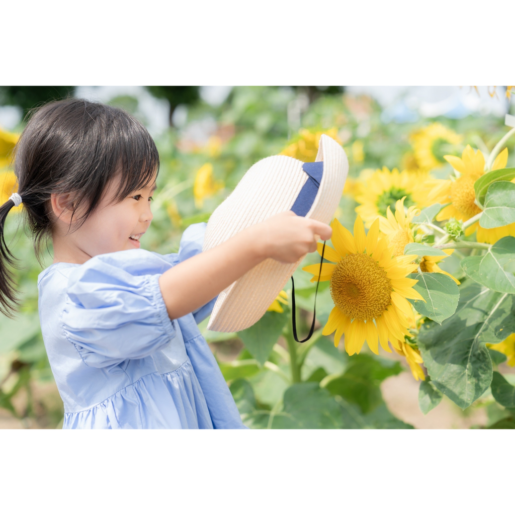 小野市ひまわり撮影会
